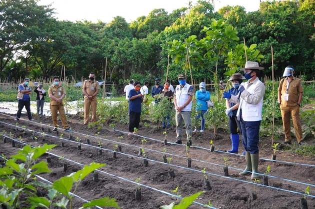 Manado Ba Kobong, Upaya Ketahanan Pangan di Tengah Pandemi Covid-19