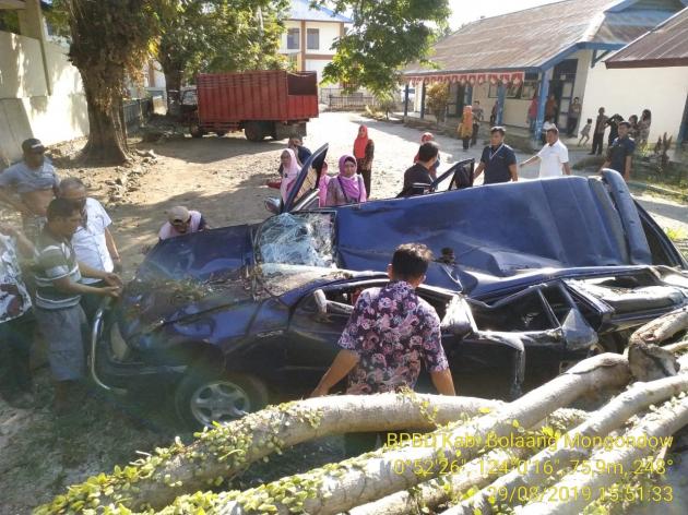 Angin Selatan, 2 Mobil Hancur Tertimpa Pohon 