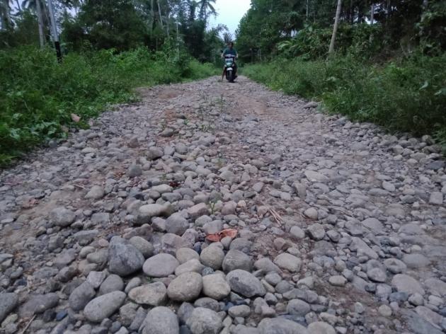 Perbaikan Jalan Masuk Pabrik Gula Semut Mendesak 