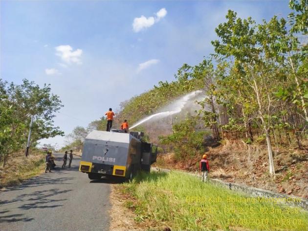 Karhutla Kepung Pantura, Mulai Masuk Hutan Kota