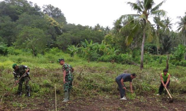 Manfaatkan Lahan Tidur, Dispertanak Ajak Pemuda Bertani