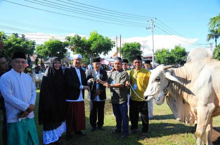 Wali Kota Tinjau Penyembelihan Hewan Qurban di Kelurahan Motoboi Kecil