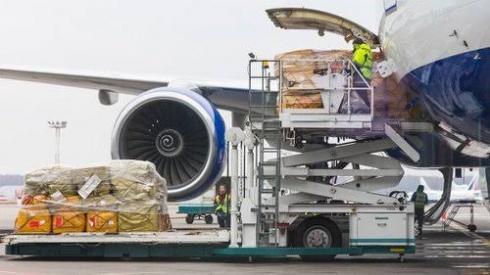 Hub Cargo Wilayah Timur, Tujuan Tokyo Bisa dari Manado