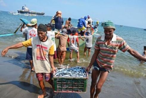 Sulut Targetkan Serap 800 Ton Ikan Nelayan