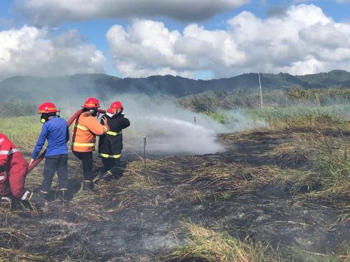 Satu Hari, Empat Titik Lahan Gambut di Minahasa Terbakar