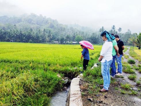 Nayodo Dorong Petani Manfaatkan Potensi Sawah