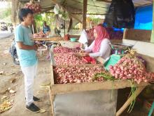 Potensi Bawang Merah Janjikan Untung Besar