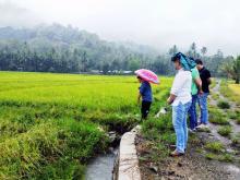 Wawali Kotamobagu Dorong Petani Manfaatkan Potensi Sawah