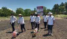 Pekan ini, Pemkab Bolmong Salurkan Bibit Sayur