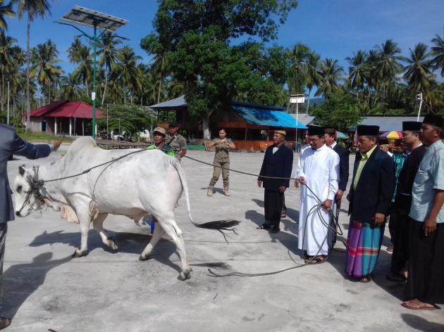 71 Sapi dan 12 Kambing Dikurbankan Pemkab Boltim