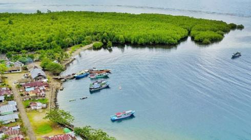 Wisata Mangrove Launching Awal 2019