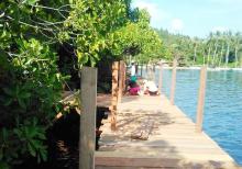 Wisata Mangrove Transpatoa Masuki Tahap Finishing