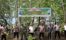 Sinergi TNI-Polri, Lakukan Penanaman Pohon Mangrove untuk Mempertahankan Ekosistem Pantai